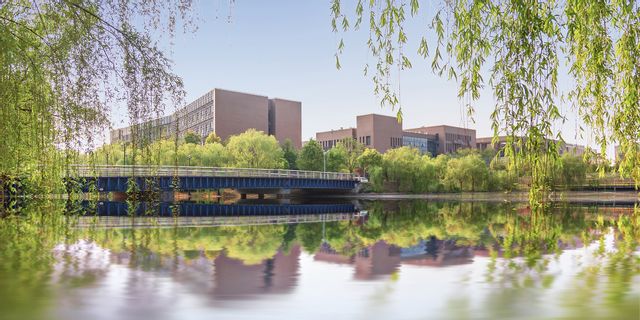 河边垂柳.jpg